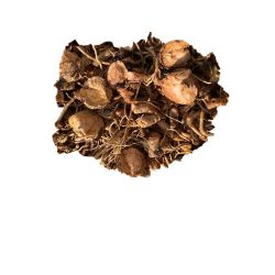 Manzo Root (Yerba Mansa) 1/2oz