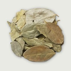 Hoja de Boldo (Boldo Leaf) 16 oz