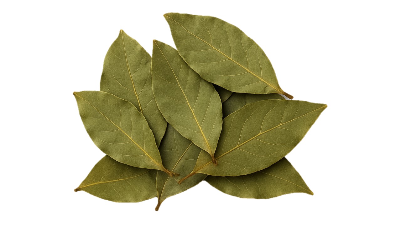 Bay Leaves 16oz